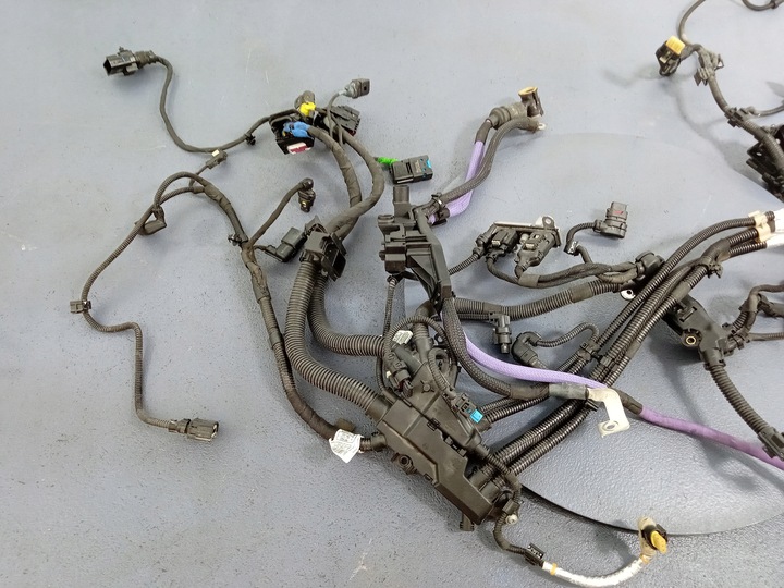 фото №7, Bmw 7 g11 g12 3.0d b57 жгут двигателя 7925929