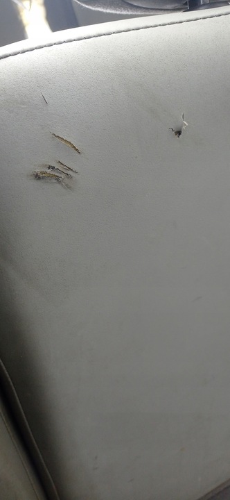 фото №13, Vivaro trafic primastar 01-14 сиденье зад лавка 2 ряд