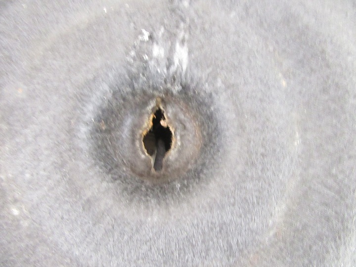 фото №9, Підлога ніша багажника колеса bmw e46 універсал