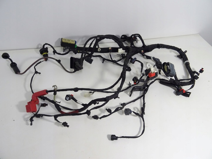 фото №1, 2015-2023 challenger 3.6 v6 жгут установка двигателя разъём штекер кабели