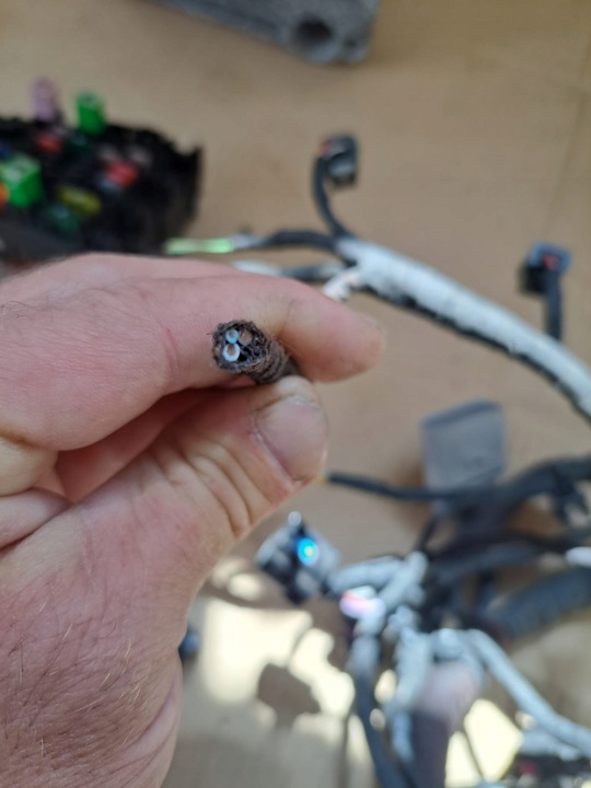 фото №6, Vw, skoda, audi жгут двигателя 04e972627ed