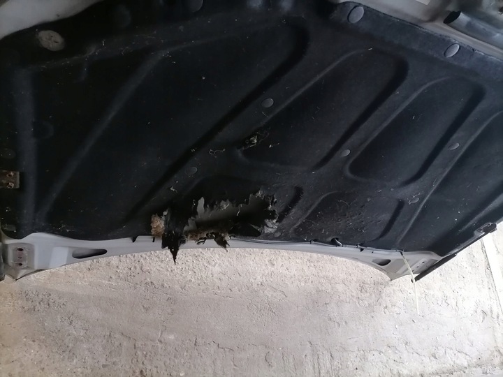 фото №9, Капот кришка двигуна ssangyong kyron 05 рік