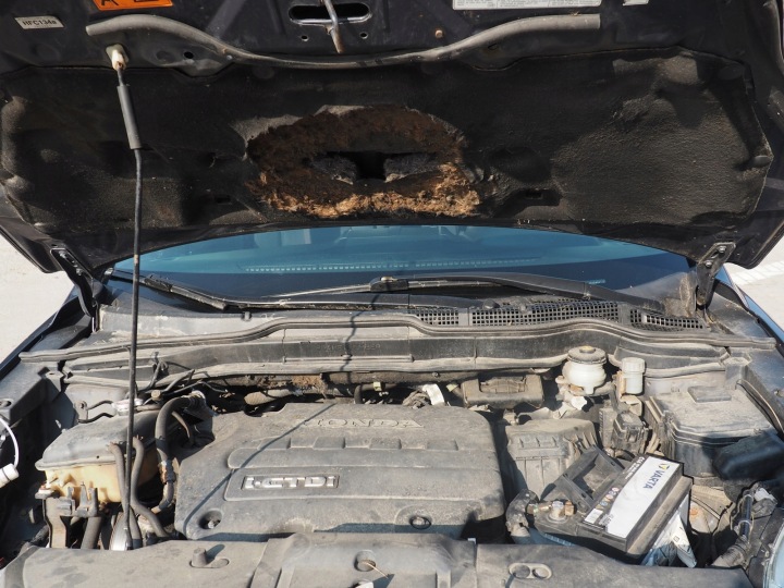 фото №10, Honda cr-v 3 2006-09 тросы изменения коробка передач комплект