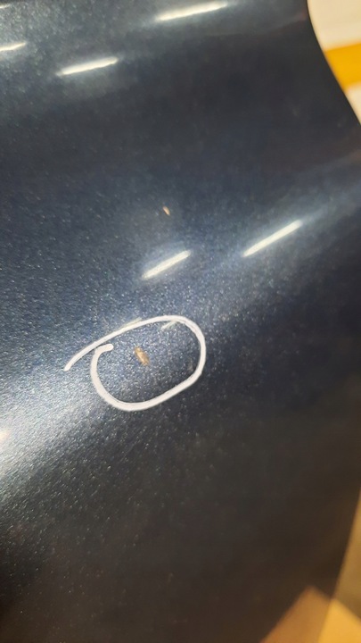 фото №4, Двері перед ліві volvo v50 04-12r