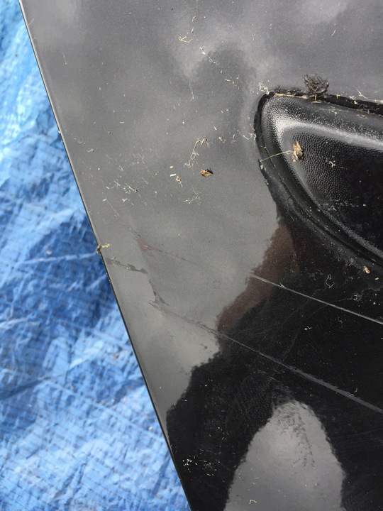 фото №2, Renault scenic ii 03-09 двері праві зад