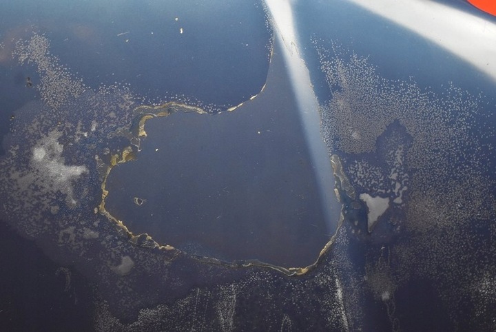 фото №5, Капот кришка двигуна синя bmw e46 97-03