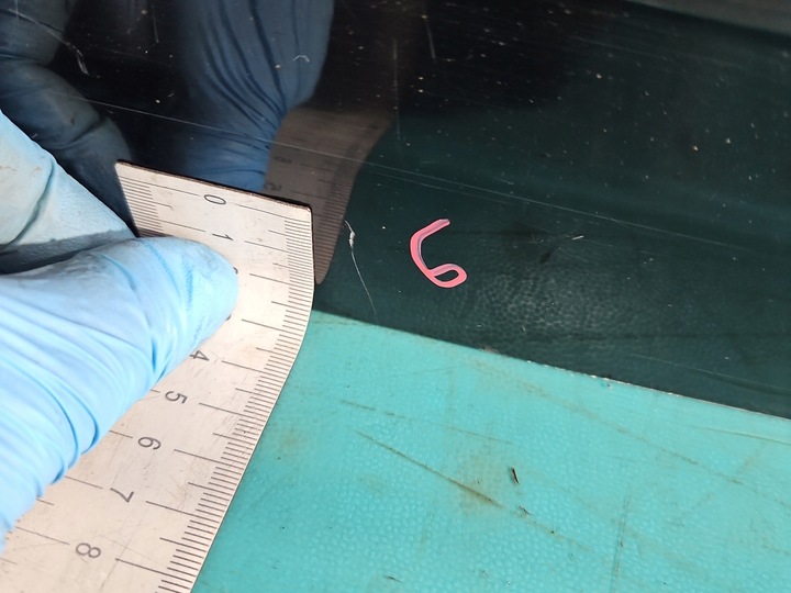 фото №8, Кришка скло багажника зад citroen c4 grand picasso i 06-13 чорний exy