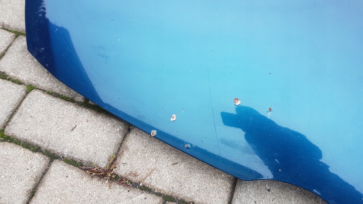 фото №6, Капот mazda 5