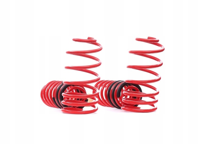 фото №13, Пружина подвески eibach e20-85-001-01-22 do vw bora golf iv van 1j1