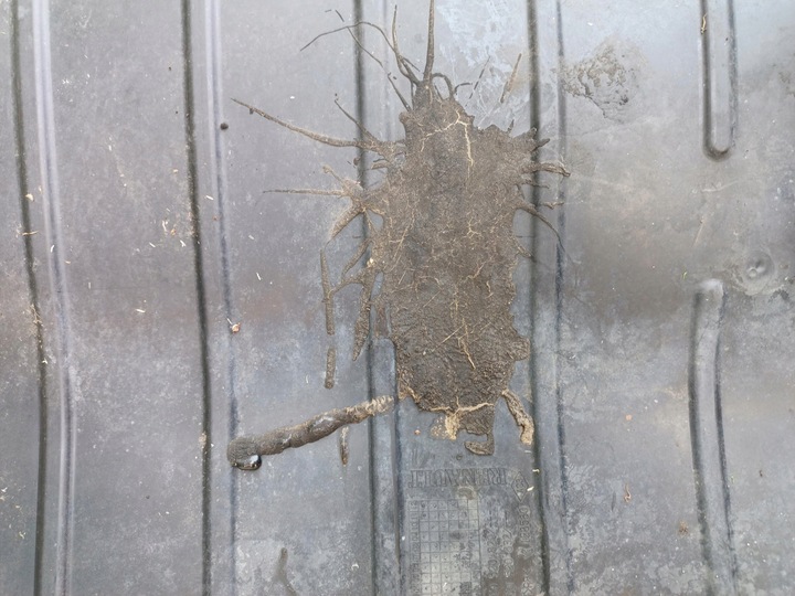 фото №8, Плита защита pod двигатель renault clio iii 8200520829 8200520832