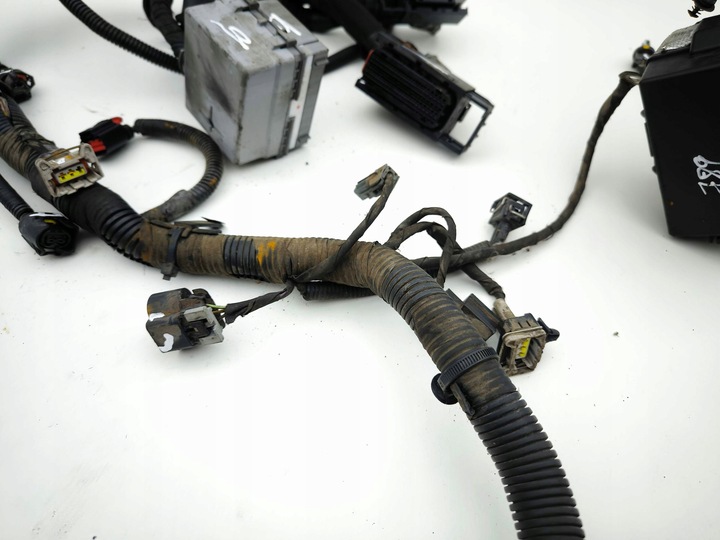 фото №11, Opel antara 2012 джгут двигуна 95489694