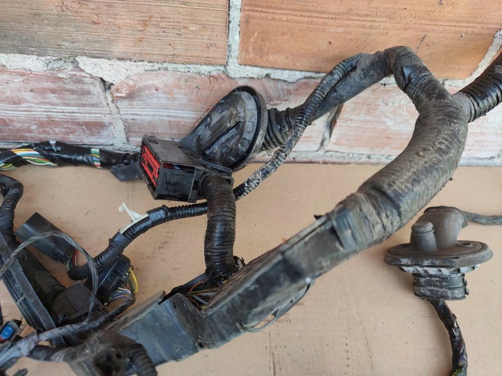 фото №11, Mondeo mk5 2.0 гібрид джгут двигуна установка