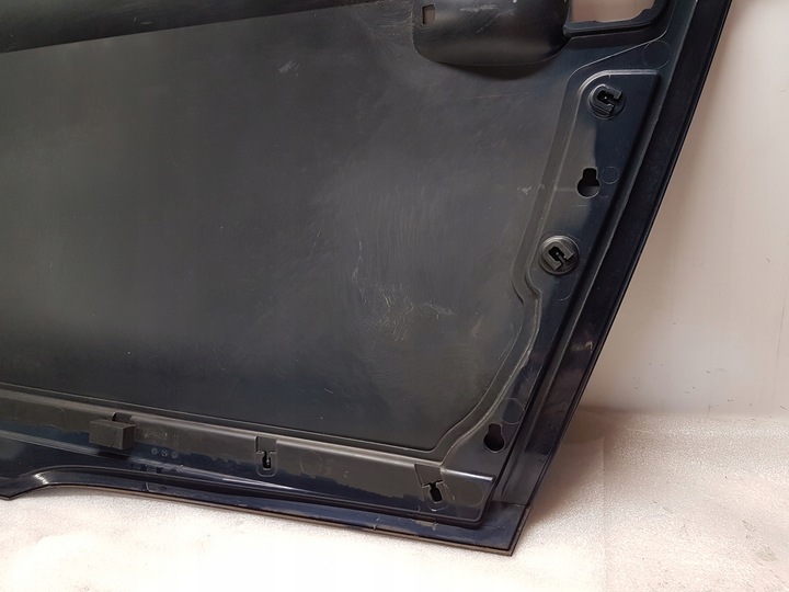 фото №9, Дверь обшивка правые перед bmw i3 1559932