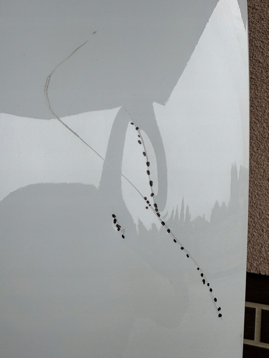 фото №11, Капот кришка двигуна audi a5 8w6