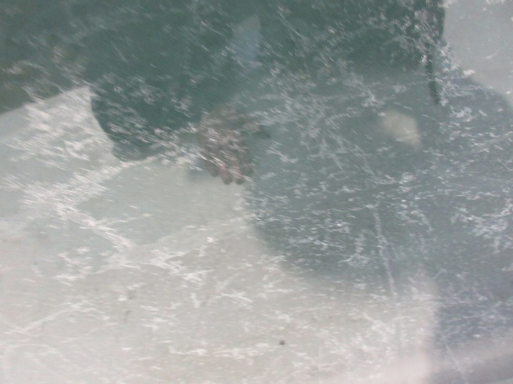 фото №9, Chrysler grand voyager iv стекло кузовная левая правая зад