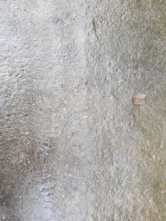 фото №9, Панель под лобовым стеклом корпус фильтра воздуха bmw e88 6989788