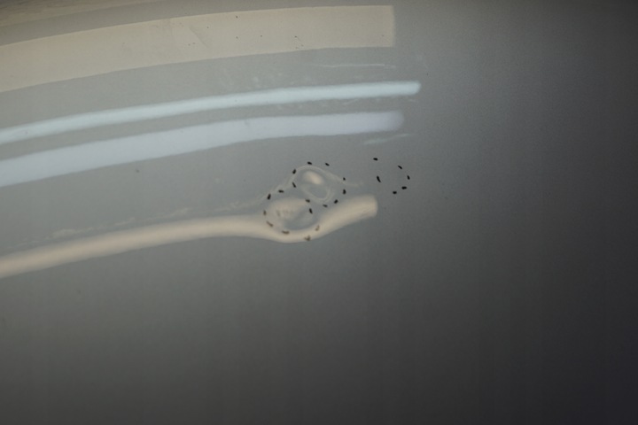 фото №7, Капот крышка двигателя vw golf v 5 plus