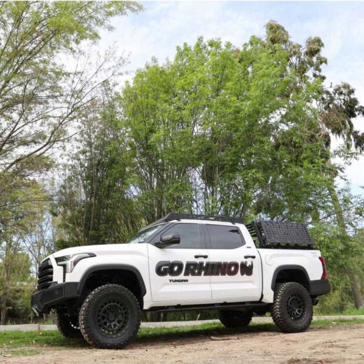 фото №8, Багажник кузова/пікап go rhino ford f150 15-present