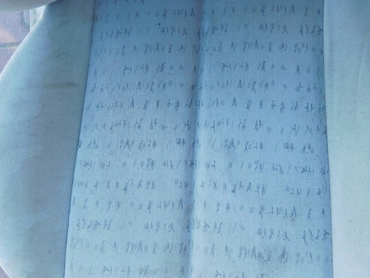 фото №14, 08/18 renault scenic ii сиденье водителя левый eu