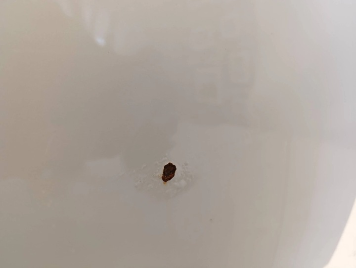 фото №12, Дверь левая передние mazda cx3 cx-3 15-