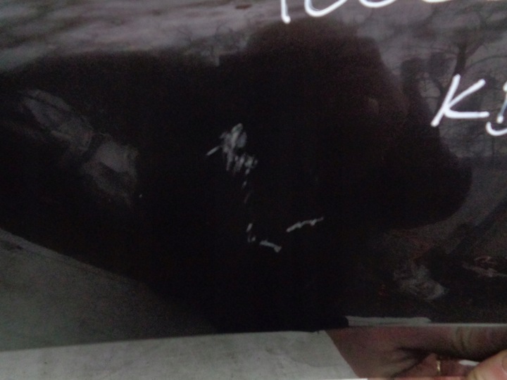 фото №9, Крило перед переднє лівий peugeot 308 t7 cc cabrio код фарби kdjd