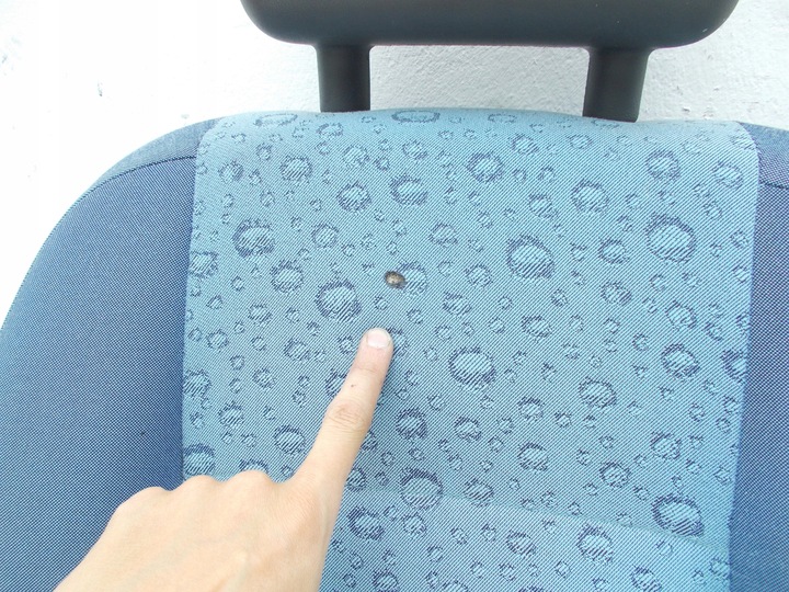 фото №7, Сидіння сидіння ліві водія fiat panda 2 ii лівий 2003 - 2012