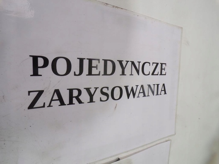 фото №11, Kia sportage ii капот передняя перед s6