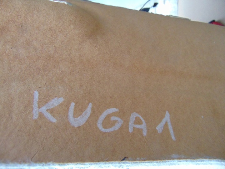 фото №12, Стеля стеля автомобіля ford kuga mk1