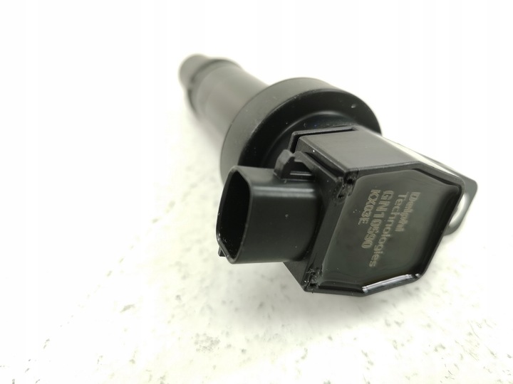 фото №14, Котушка запалювання [delphi]