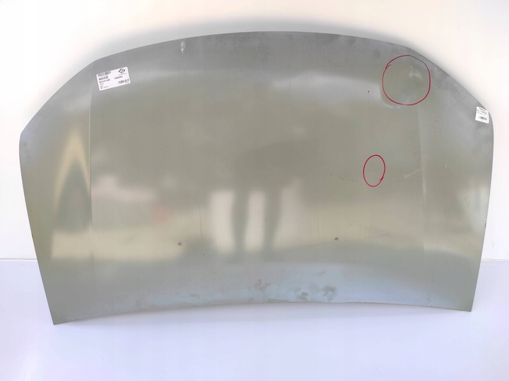 фото №1, Капот кришка двигуна dacia sandero 13-21 4456000