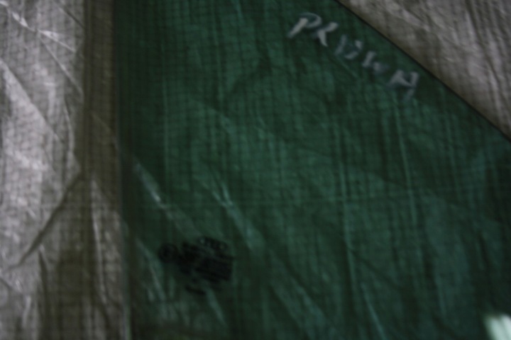 фото №6, Скло двері перед trójkacik audi tt 8n 1999-2006