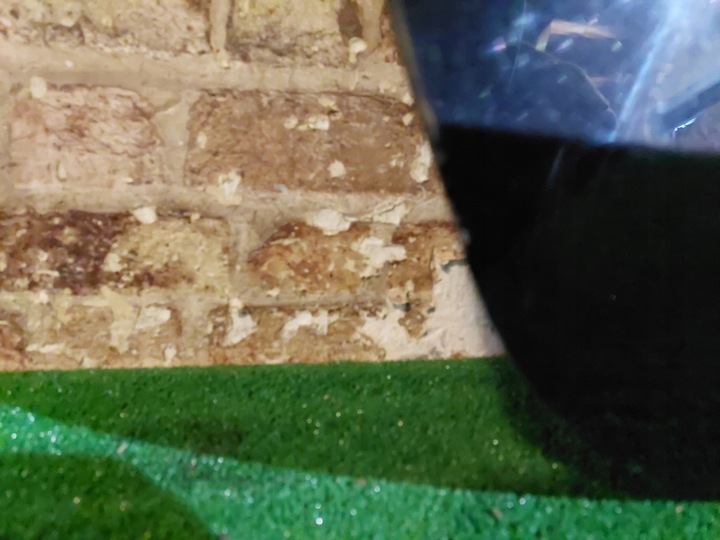 фото №14, Дверь перед правые audi a5 8t 07/11 cabrio/coupe