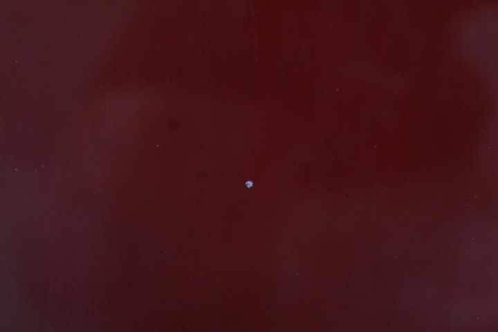 фото №5, Скло перед передня лобове renault trafic 3 iii 14-21