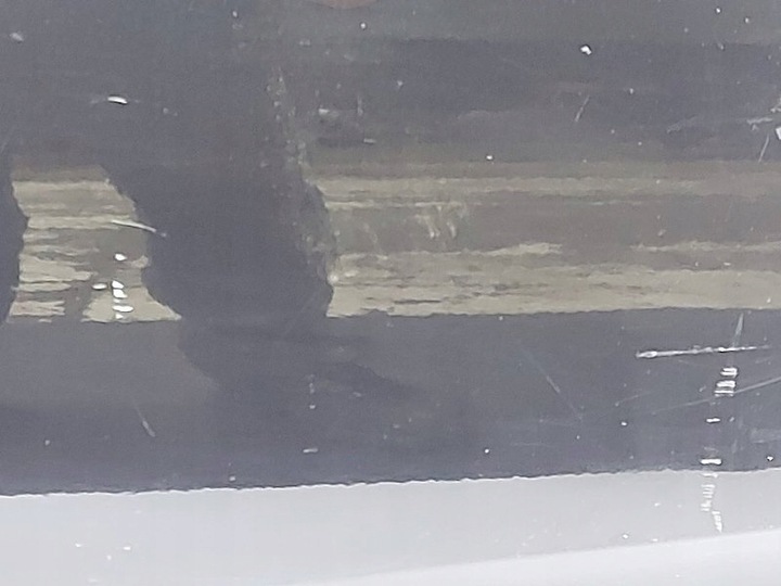 фото №10, Дверь обшивка правые зад правые задние seat altea 5p1 toledo iii