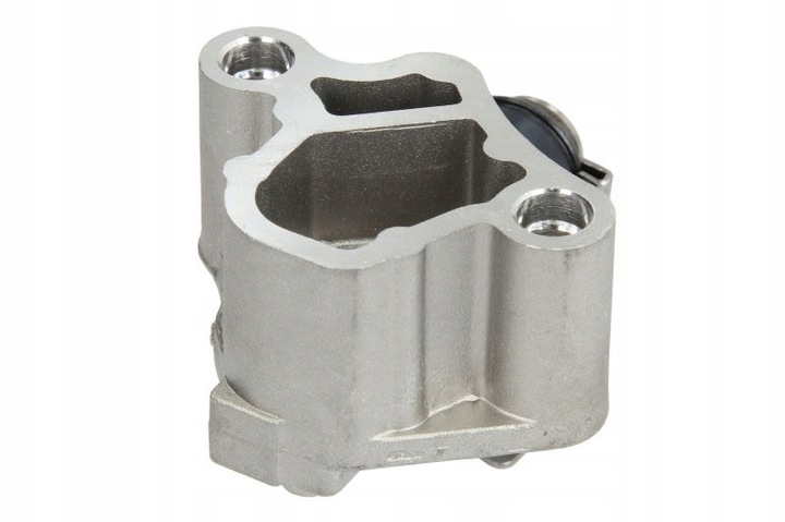 фото №8, Topran натяжитель цепи распределительный вал