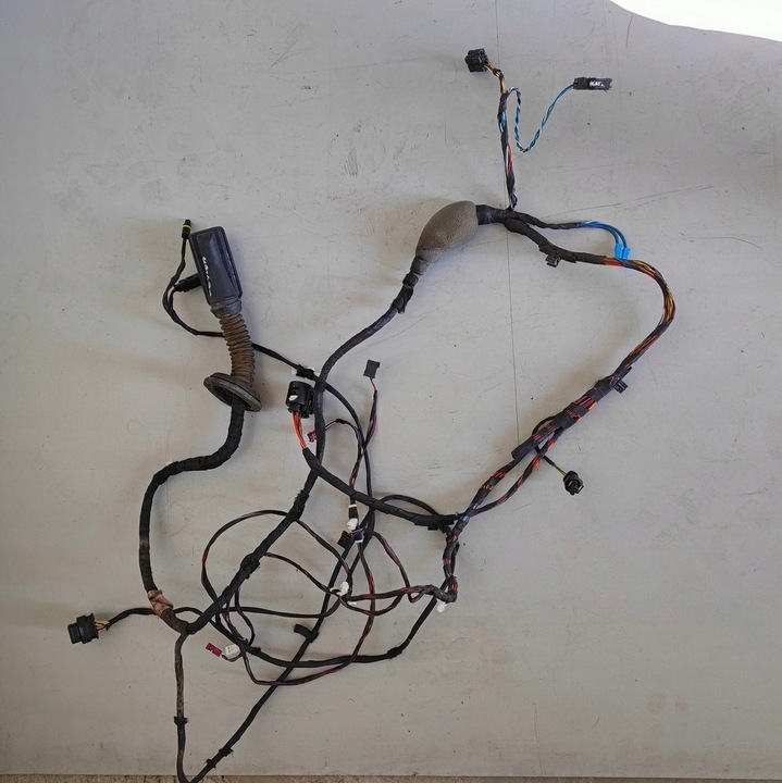 фото №1, Bmw x3 g01 джгут двері праві перед keyless європа