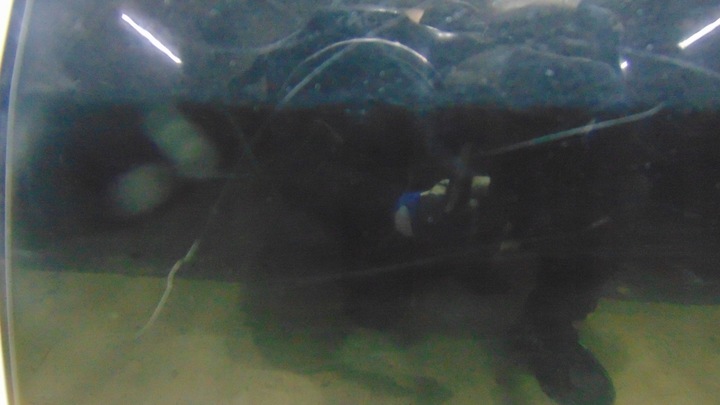 фото №3, Двері ліві задні зад opel insignia a z22c