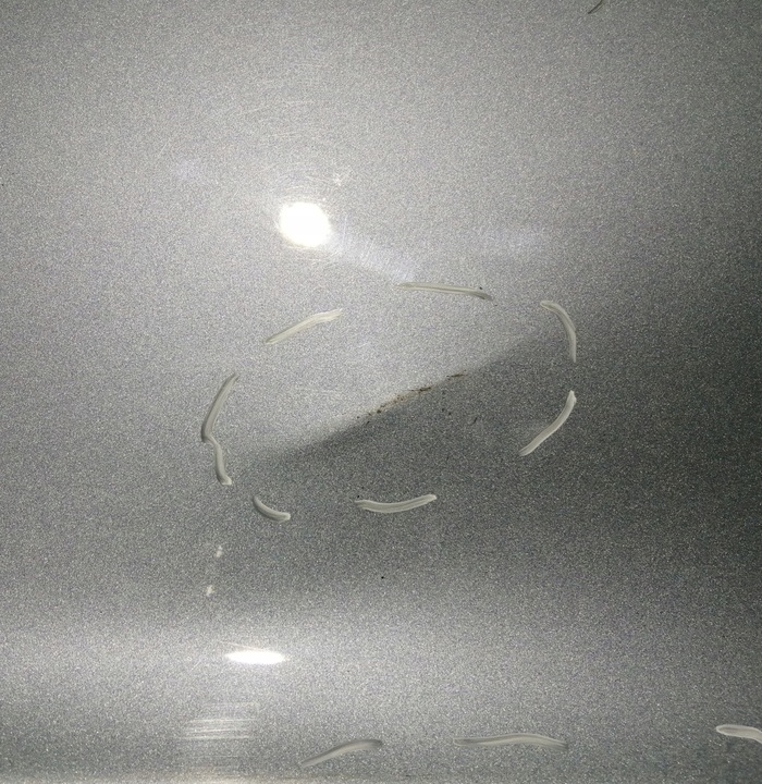 фото №6, Дверь правые перед volvo s60 ii 10-