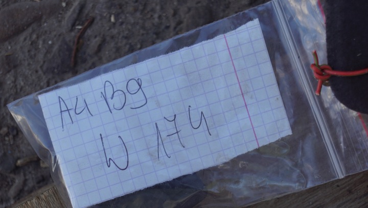 фото №9, Шумоизоляция капота + клипсы audi a4 b9