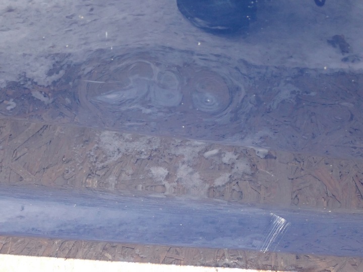 фото №3, Дверь правые передние правые перед ford focus mk3 iii 2011-