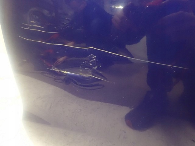 фото №4, Двері ліві задні лівий зад toyota yaris 4 iv 2020-