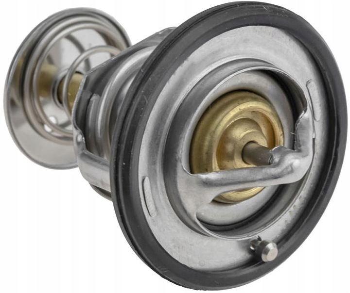 фото №1, Термостат nty ctm-ty-003