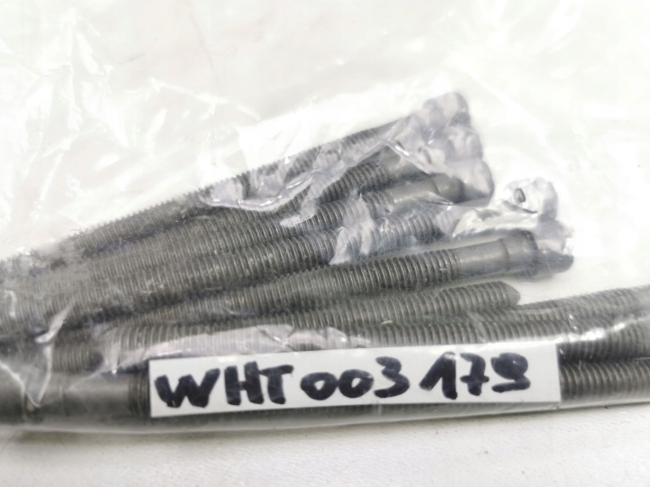 фото №7, Гвинт інжектора volkswagen golf passat audi a3 oem номер wht003179