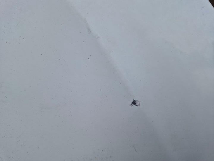 фото №7, Renault megane iii 3 капот кришка двигуна перед передня