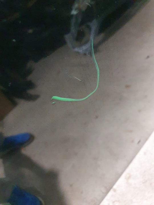 фото №6, Капот крышка двигателя bmw 5 e60 e61 оригинал