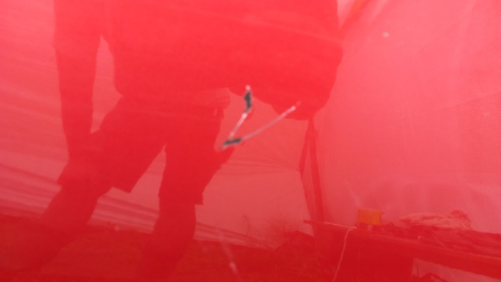 фото №11, Bmw e82 e88 3d двері перед праві a73