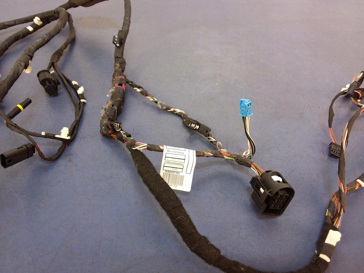 фото №4, Bmw 5 g30 жгут дверь правые зад 11107810