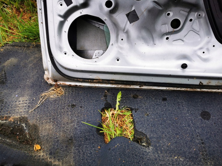 фото №15, Vw passat b8 дверь передние правые 14-