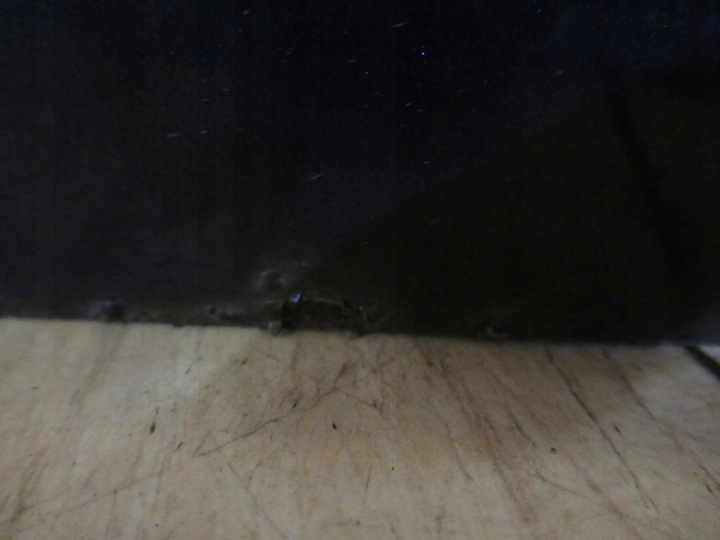 фото №8, Двері перед ліві opel astra j iv 09- hb код z22a