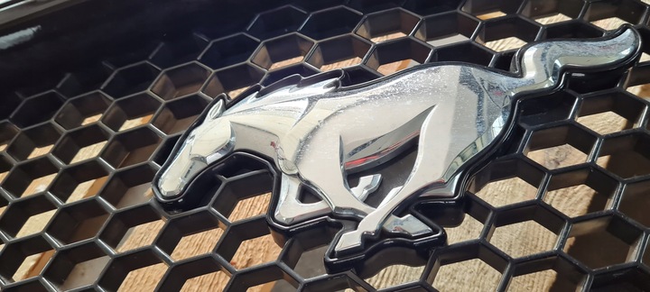 фото №10, Mustang vi рестайлинг gt решётка радиатора решётка бампера перед jr3b-8200-dew